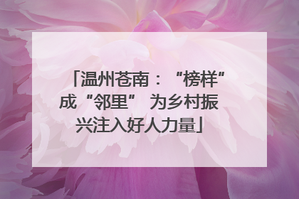 温州苍南：“榜样”成“邻里” 为乡村振兴注入好人力量