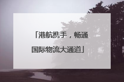 港航携手，畅通国际物流大通道
