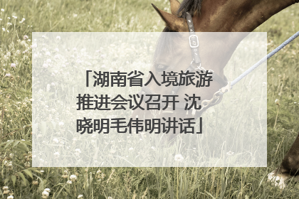 湖南省入境旅游推进会议召开 沈晓明毛伟明讲话