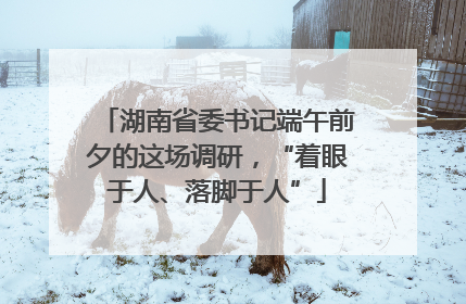 湖南省委书记端午前夕的这场调研，“着眼于人、落脚于人”