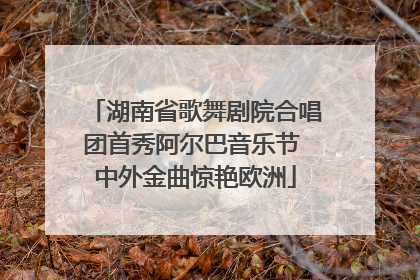 湖南省歌舞剧院合唱团首秀阿尔巴音乐节 中外金曲惊艳欧洲