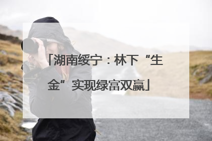 湖南绥宁：林下“生金”实现绿富双赢