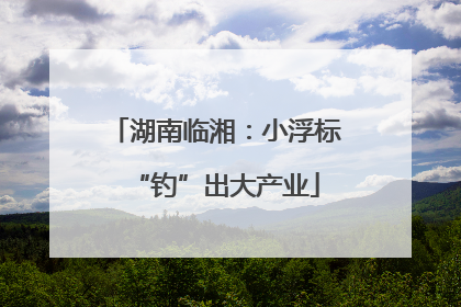湖南临湘：小浮标“钓”出大产业
