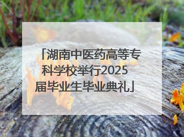 湖南中医药高等专科学校举行2025届毕业生毕业典礼