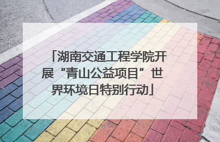 湖南交通工程学院开展“青山公益项目”世界环境日特别行动