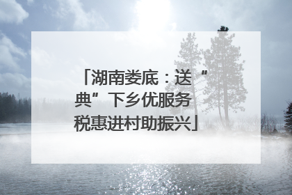 湖南娄底：送“典”下乡优服务 税惠进村助振兴