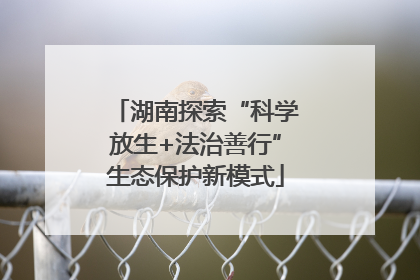 湖南探索“科学放生+法治善行”生态保护新模式