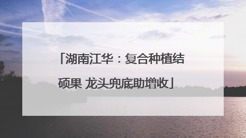 湖南江华：复合种植结硕果 龙头兜底助增收