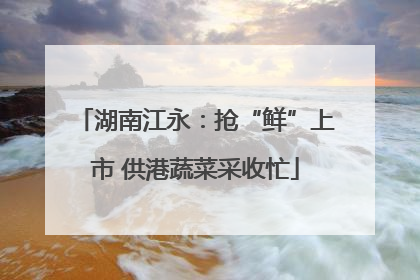 湖南江永：抢“鲜”上市 供港蔬菜采收忙