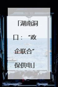 湖南洞口：“政企联合”保供电