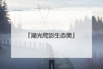 湖光鹭影生态美