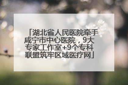 湖北省人民医院牵手咸宁市中心医院，9大专家工作室+9个专科联盟筑牢区域医疗网