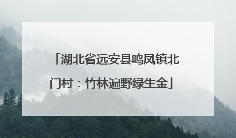 湖北省远安县鸣凤镇北门村：竹林遍野绿生金