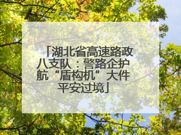 湖北省高速路政八支队：警路企护航“盾构机”大件平安过境