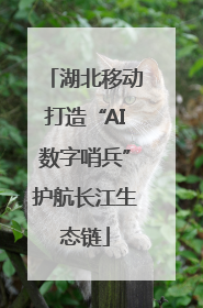 湖北移动打造“AI数字哨兵”护航长江生态链