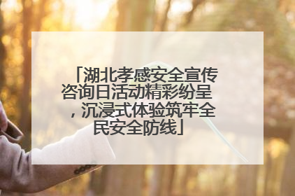 湖北孝感安全宣传咨询日活动精彩纷呈，沉浸式体验筑牢全民安全防线