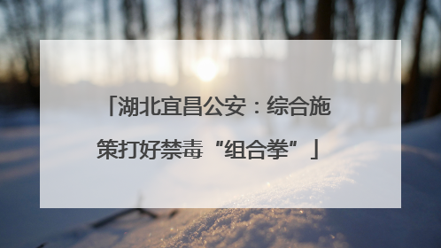 湖北宜昌公安：综合施策打好禁毒“组合拳”