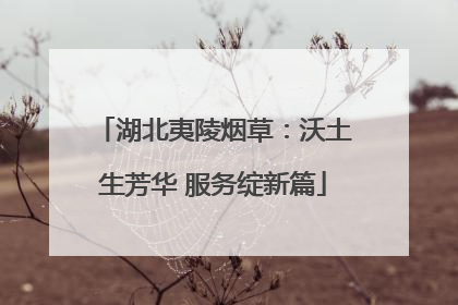 湖北夷陵烟草：沃土生芳华 服务绽新篇