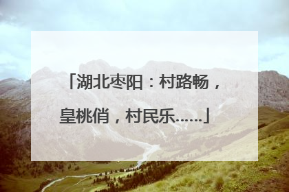 湖北枣阳：村路畅，皇桃俏，村民乐……