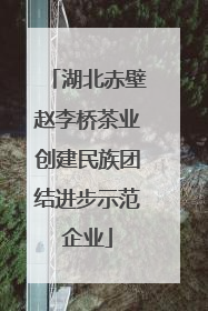 湖北赤壁赵李桥茶业创建民族团结进步示范企业