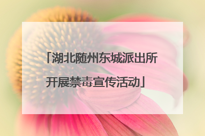 湖北随州东城派出所开展禁毒宣传活动