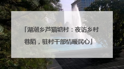 湖潮乡芦猫塘村：夜访乡村巷陌，驻村干部情暖民心
