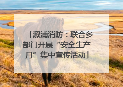溆浦消防：联合多部门开展“安全生产月”集中宣传活动