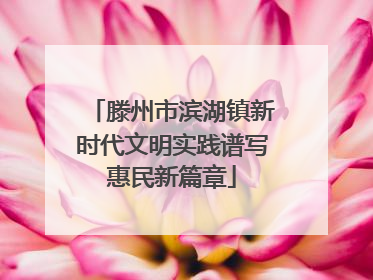 滕州市滨湖镇新时代文明实践谱写惠民新篇章