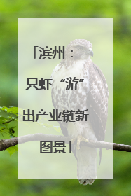 滨州：一只虾“游”出产业链新图景