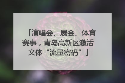 演唱会、展会、体育赛事，青岛高新区激活文体“流量密码”