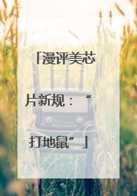 漫评美芯片新规：“打地鼠”