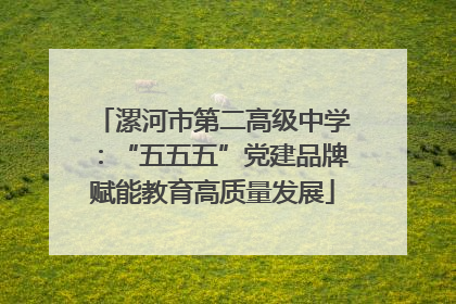 漯河市第二高级中学：“五五五”党建品牌赋能教育高质量发展