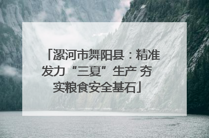 漯河市舞阳县：精准发力“三夏”生产 夯实粮食安全基石