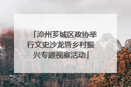 漳州芗城区政协举行文史沙龙暨乡村振兴专题视察活动