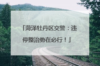 菏泽牡丹区交警：违停整治势在必行！