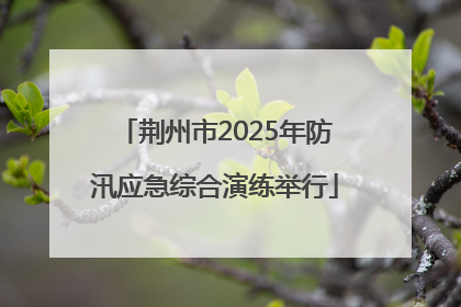 荆州市2025年防汛应急综合演练举行