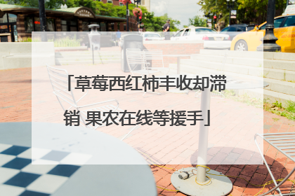 草莓西红柿丰收却滞销 果农在线等援手