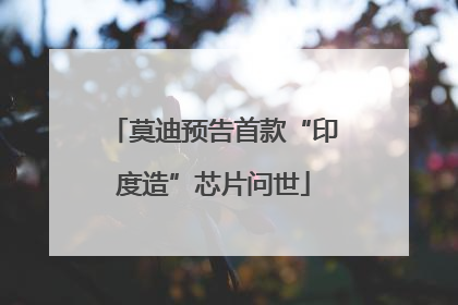 莫迪预告首款“印度造”芯片问世