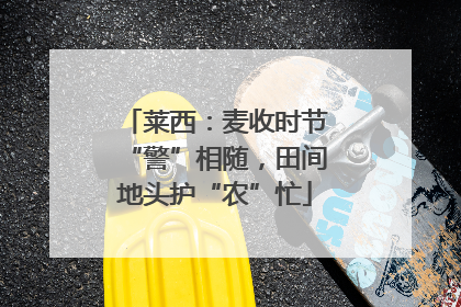莱西：麦收时节“警”相随，田间地头护“农”忙