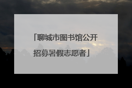 聊城市图书馆公开招募暑假志愿者