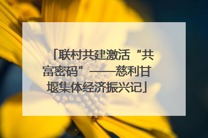 联村共建激活“共富密码”——慈利甘堰集体经济振兴记