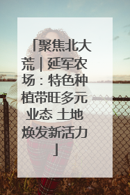 聚焦北大荒｜延军农场：特色种植带旺多元业态 土地焕发新活力