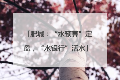 肥城：“水预算”定盘，“水银行”活水