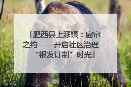 肥西县上派镇：窗帘之约——开启社区治理“银发订制”时光