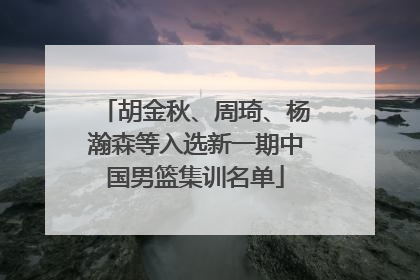 胡金秋、周琦、杨瀚森等入选新一期中国男篮集训名单
