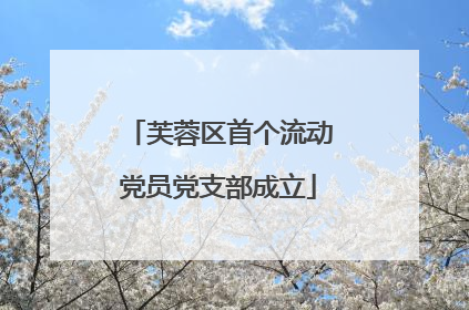 芙蓉区首个流动党员党支部成立
