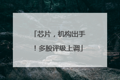 芯片，机构出手！多股评级上调