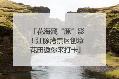 花海藏“豚”影！江豚湾景区创意花田邀你来打卡