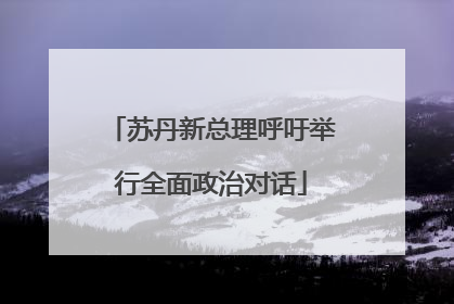 苏丹新总理呼吁举行全面政治对话