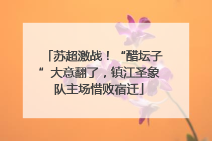 苏超激战！“醋坛子”大意翻了，镇江圣象队主场惜败宿迁